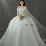 TVC761 Váy Cưới Làm Lễ, Đầm Cưới Đi Tiệc, Tay Dài, Bệt Vai Ngang, Tùng Bồng