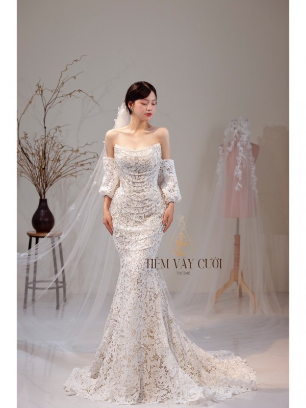 TVC548 Đầm Cưới Cô Dâu, Váy Tiệc Cưới Sang Trọng Dáng Ôm Body Đính Ren