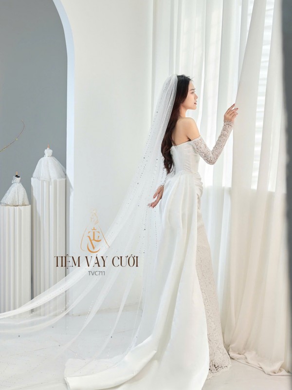 TVC711 Váy Cưới Đi Bàn, Đầm Cưới Đuôi Cá, Cúp Ngực, Tà Rời, Phi