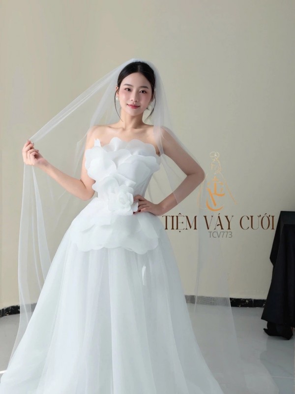 TVC773 Váy Cưới Đi Bàn, Đầm Cưới Đi Bàn, Cúp Ngực, Dáng Xòe